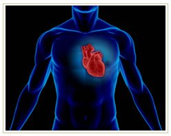 Slider image (4) PlacidWay India Medical Tourism